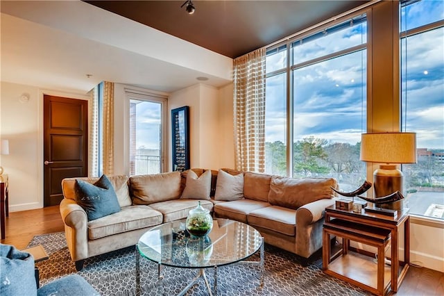 1820 Peachtree St NW Unit 811, Atlanta, GA 30309 - living room with wood finished floors and baseboards