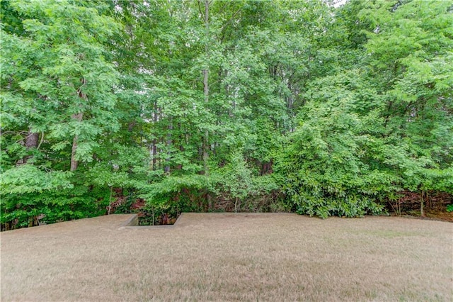 view of yard featuring a view of trees