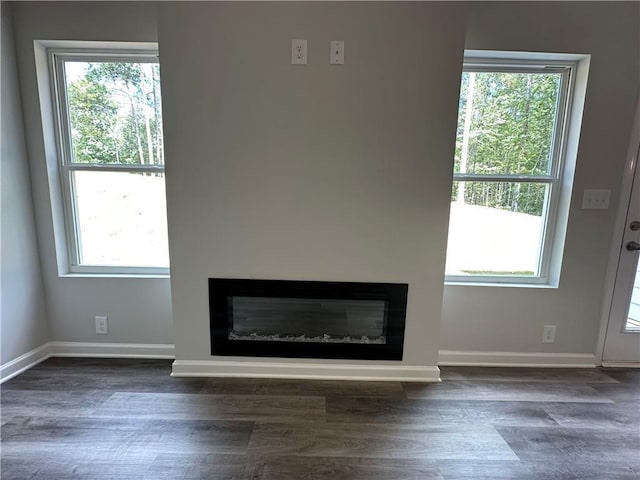 room details featuring baseboards, wood finished floors, and a glass covered fireplace