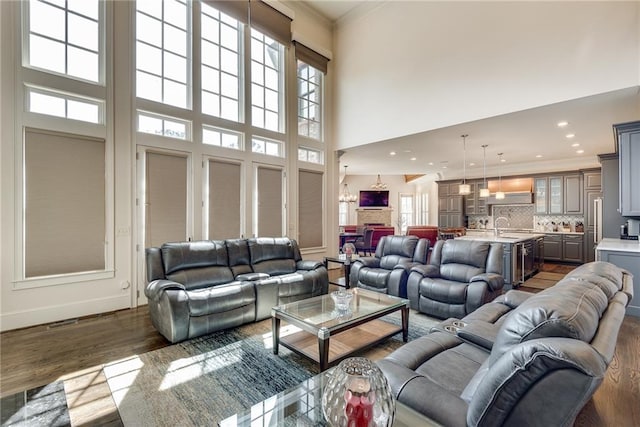 living room featuring ornamental molding, sink, dark hardwood / wood-style floors, and a towering ceiling