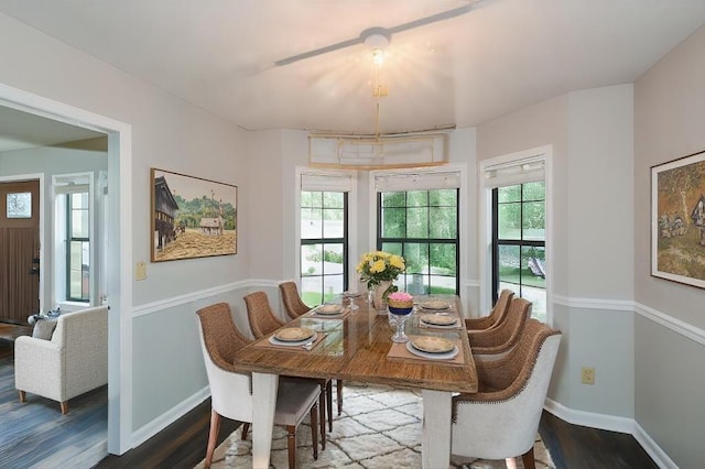 dining space featuring wood-type flooring