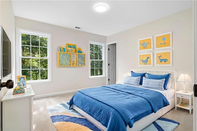 184 Corner Oak Ct, Waleska, GA 30183 - carpeted bedroom with multiple windows