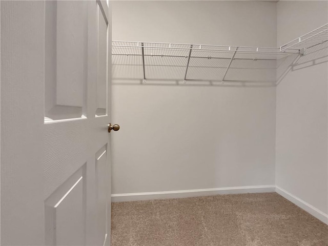 spacious closet with carpet