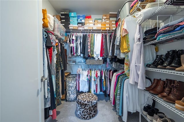 view of walk in closet