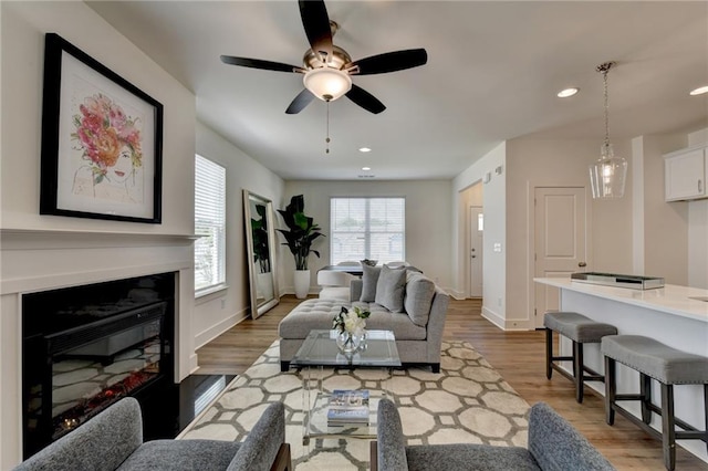 living room featuring ceiling fan and hardwood / wood-style flooring