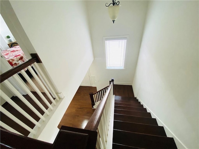 staircase with wood finished floors