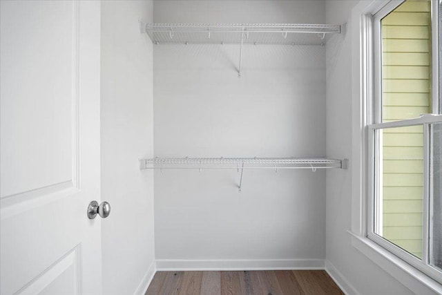 walk in closet with wood finished floors