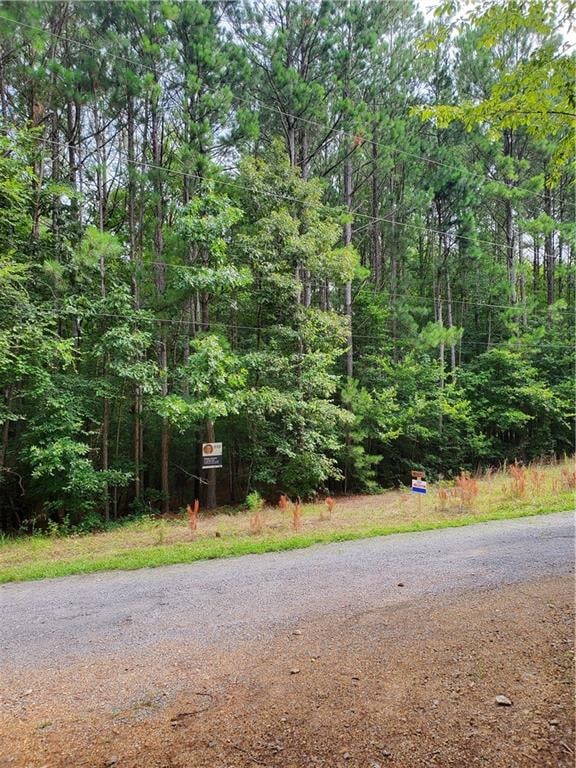 000 Shaw St, Kingston GA, 30145 land for sale