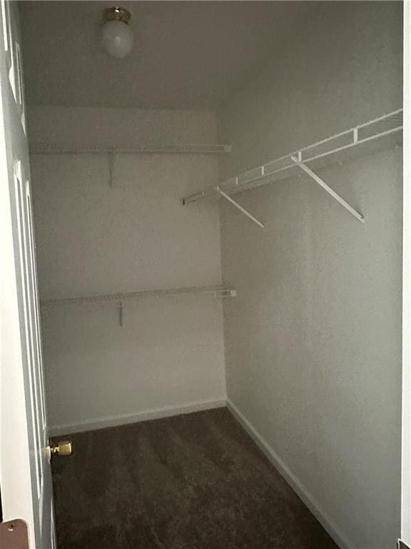 walk in closet with dark colored carpet