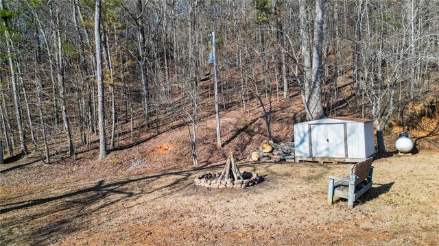 view of yard featuring an outbuilding, a fire pit, and a storage unit