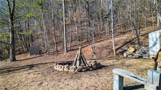 view of yard featuring an outbuilding, a shed, and an outdoor fire pit