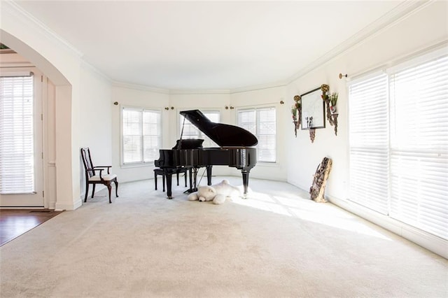 sitting room with crown molding and carpet