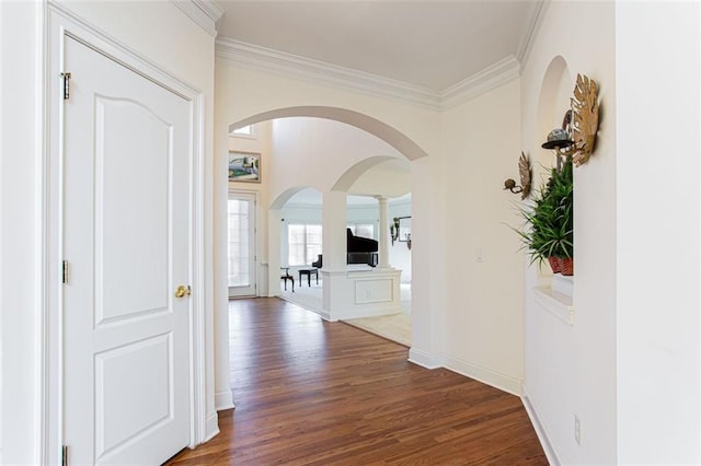 corridor featuring crown molding and dark wood-type flooring