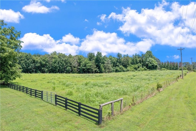 view of yard with a rural view