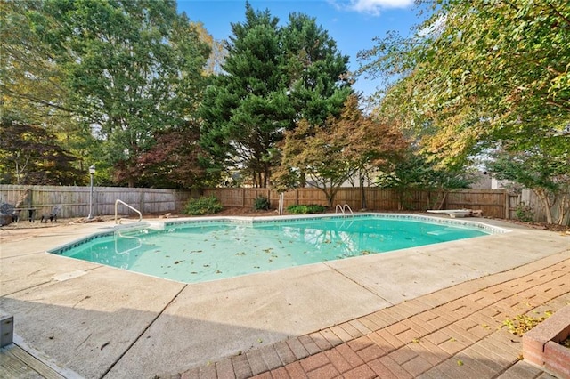 view of swimming pool featuring a patio and a diving board