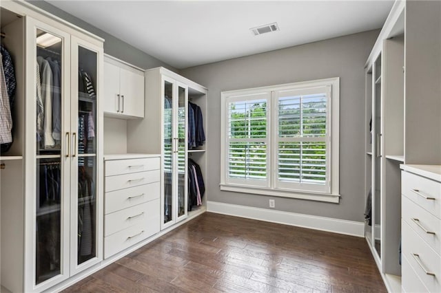 1393 Kings Park Dr NW, Kennesaw, GA 30152 - spacious closet with dark wood-style floors