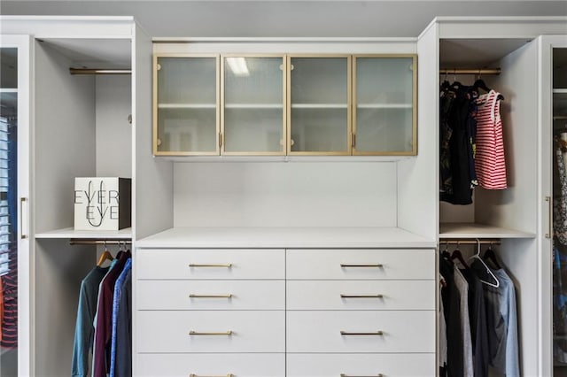 1393 Kings Park Dr NW, Kennesaw, GA 30152 - view of closet