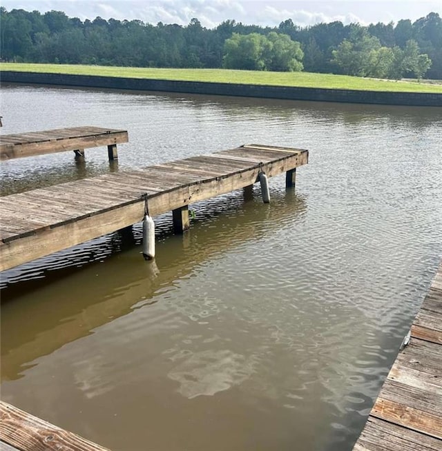 2237 Walt Stephens Rd, Jonesboro, GA 30236 - dock featuring a wooded view and a water view