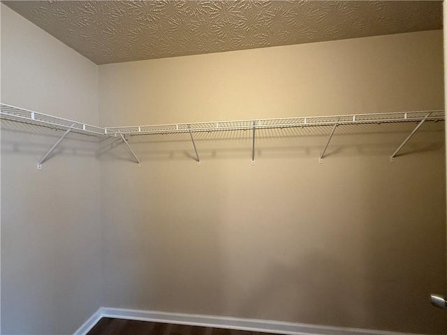 walk in closet featuring dark wood-type flooring