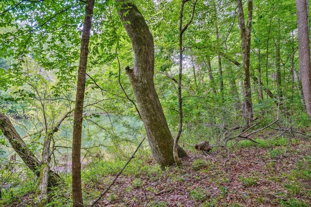 1950 Stethem Fry, Alpharetta, GA 30022 - view of wooded area