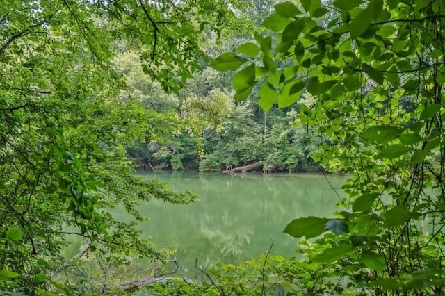 1950 Stethem Fry, Alpharetta, GA 30022 - water view featuring a heavily wooded area