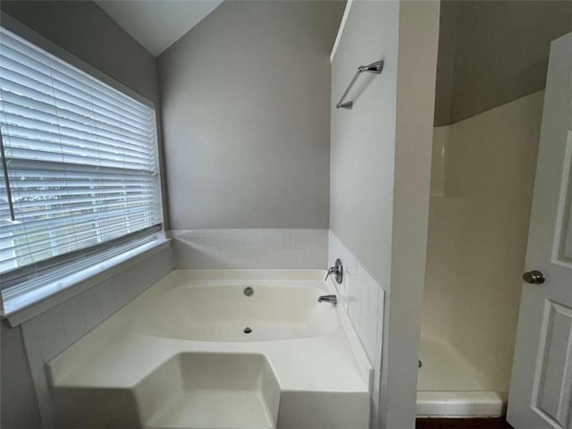 bathroom with separate shower and tub and a healthy amount of sunlight