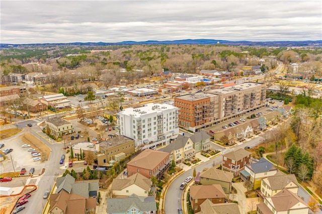 671 Stickley Oak Way, Woodstock, GA 30189 - aerial view