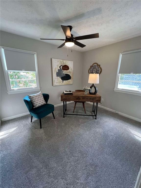 carpeted home office with ceiling fan, plenty of natural light, and a textured ceiling