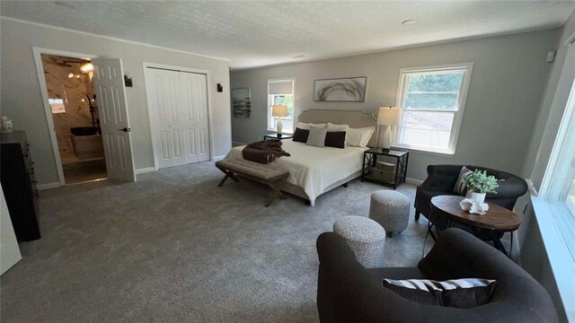 carpeted bedroom featuring a textured ceiling, ensuite bath, and a closet