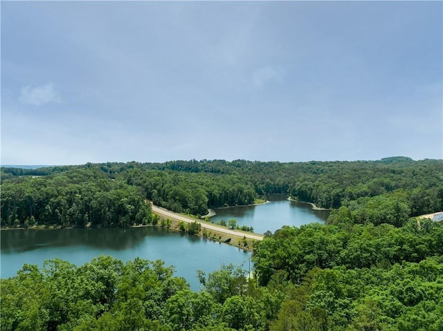 exterior space with a wooded view and a water view