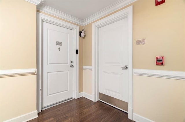 interior space featuring dark wood-type flooring, baseboards, and ornamental molding