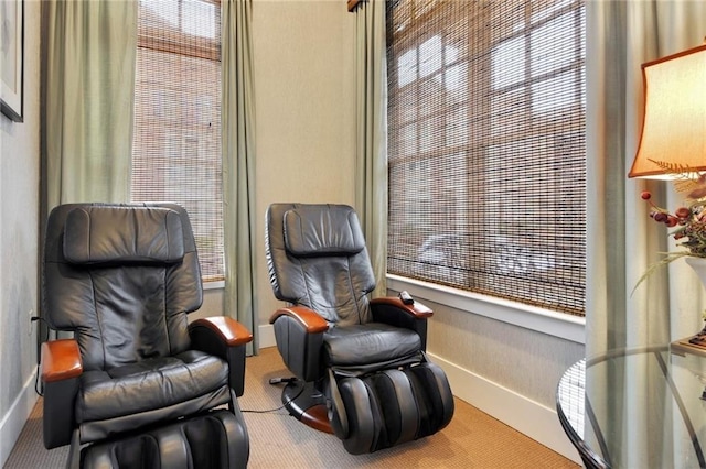 living area featuring carpet flooring