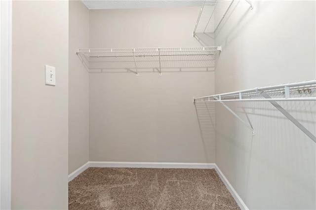 walk in closet with carpet floors