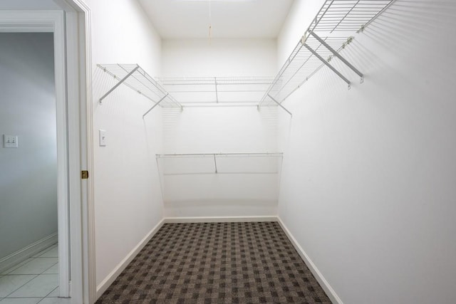 view of walk in closet