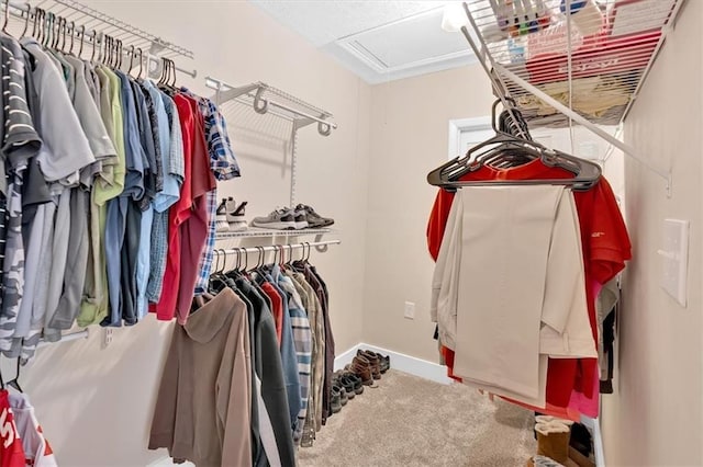 10 Shadow Ln, Cartersville, GA 30120 - walk in closet with attic access