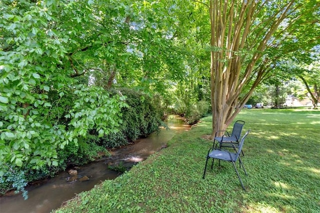 10 Shadow Ln, Cartersville, GA 30120 - view of grassy yard