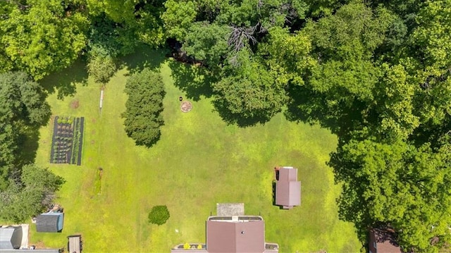 10 Shadow Ln, Cartersville, GA 30120 - bird's eye view