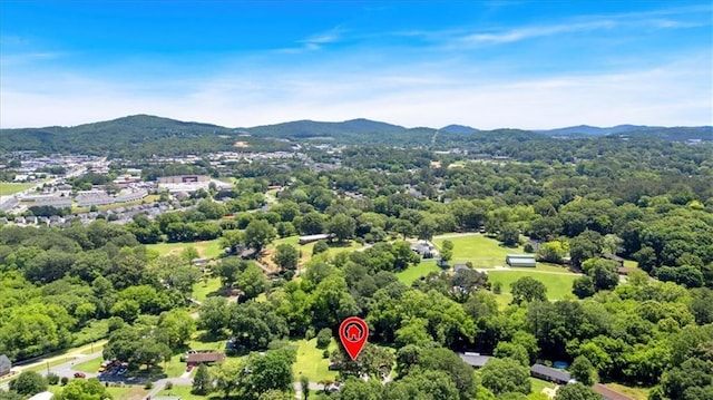 10 Shadow Ln, Cartersville, GA 30120 - bird's eye view of mountains