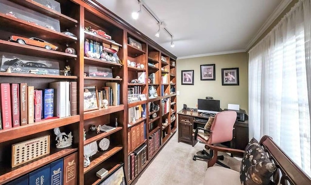 office featuring crown molding, rail lighting, and light carpet