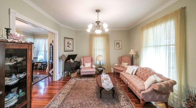 living area with a healthy amount of sunlight, an inviting chandelier, ornamental molding, and dark wood-type flooring