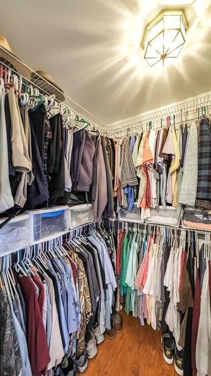 spacious closet with hardwood / wood-style floors