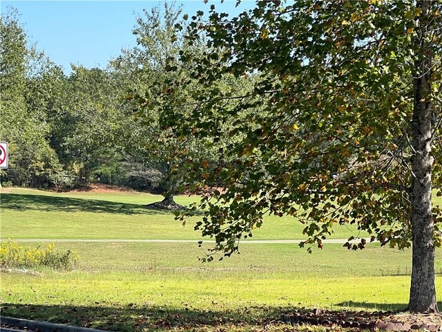 view of community with a lawn