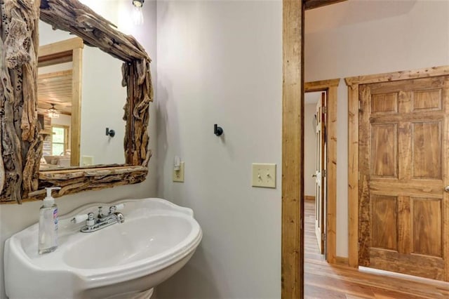 bathroom with a sink and wood finished floors