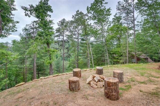 view of yard with a wooded view