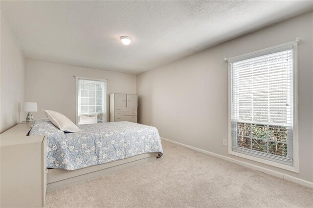 bedroom with a textured ceiling, multiple windows, carpet, and baseboards