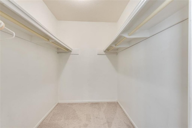 walk in closet featuring light colored carpet