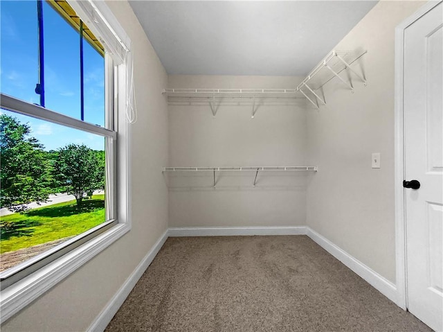 walk in closet with carpet