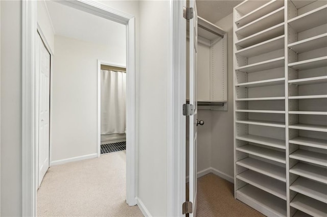 spacious closet with light carpet