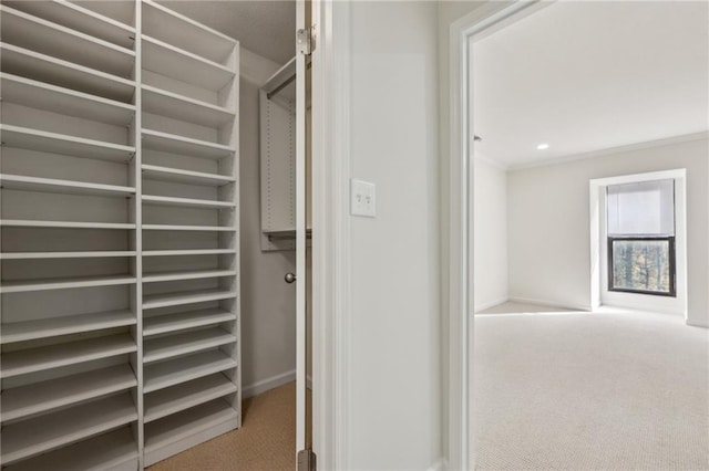 spacious closet with carpet floors