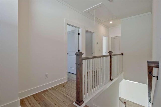 hall featuring crown molding and light hardwood / wood-style flooring